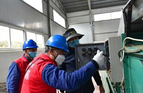電力先行護航春茶香，國網廣元715名臺區經理“駐廠進村”激活鄉村振興新動能